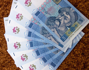 Ukrainian national currency. Five UAH