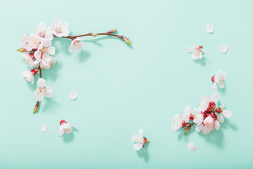 pink cherry flowers on green background