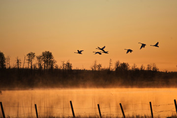 natural landscape with sunrise and sunset