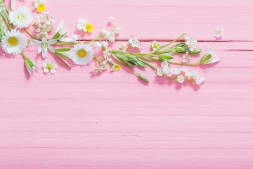 Naklejka na ściany i meble beautiful flowers on pink wooden background