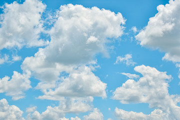 Naklejka na ściany i meble Beautiful panorama of white cumulus clouds in a light blue sky