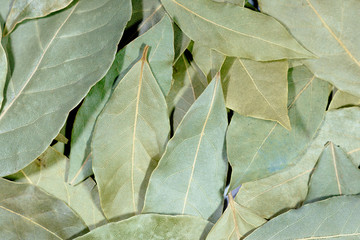 Dried bay leaves for texture or background