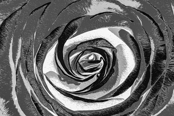 closeup of rose background. Crayon or oil paint stylization. Black and white