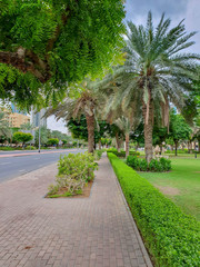 DUBAI, UAE - NOVEMBER 2019: Tecom distric with its fantastic skyscrapers, green parks and cozy cafes.