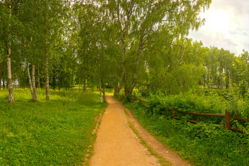A scenic trail runs along the top of a hill above the Volga river. The path is surrounded by hedges and birches. Ples, Russia.