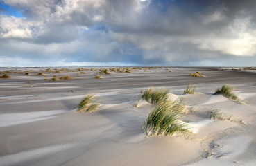 Fototapeta na wymiar windy sand beach by North sea