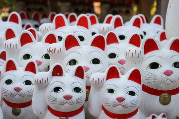 招き猫のイメージ（東京・豪徳寺）