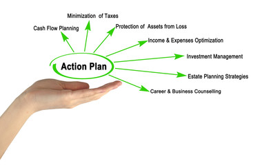 Seven components of Action Plan
