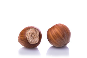 Hazelnut isolated. Filbert on white background. With clipping path. Collection