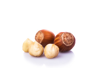 Hazelnut. Fresh organic filbert isolated on white background