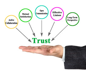 What factors tead to trust