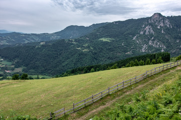 Mountain Landscape and Green Meadow with Blue Cloudy Sky