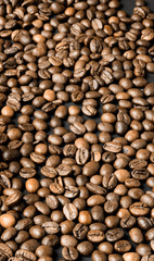 coffee beans texture background