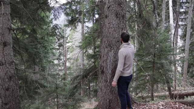young man in a wild forest hugs a large pine tree.