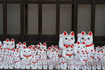 招き猫のイメージ（東京・豪徳寺）