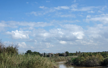Alexander river in Israel in Spring