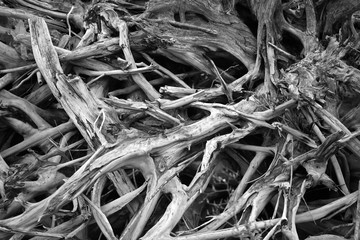 Nature, landscapes, and people