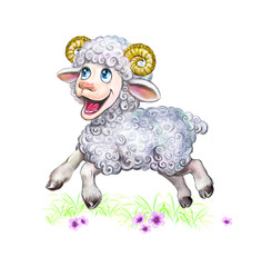 funny lamb