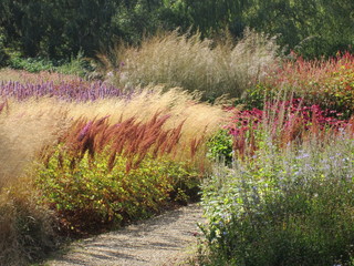 Stunning beautiful landscape multi colour grasses growing in nature reserve garden pink, purple,...