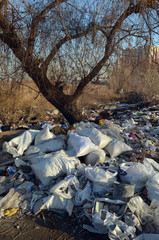 Nature near Ukrainian capital. Environmental contamination. Illegal junk dump. Near Kiev, Ukraine