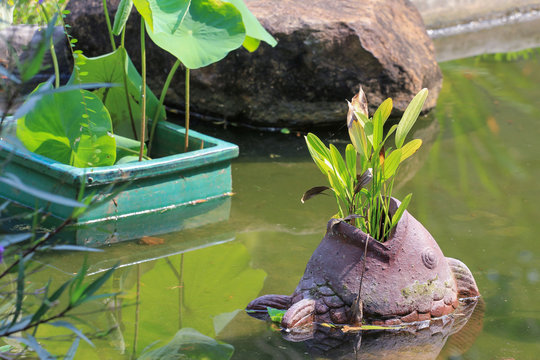pond with plants and clay fish for decoration. Walking around green garden.