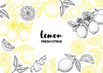 Lemon hand drawn package design. Vector illustration. Lemon sketch for menu design, brochure illustration. Black and white design. Citrus lemon pattern illustration.