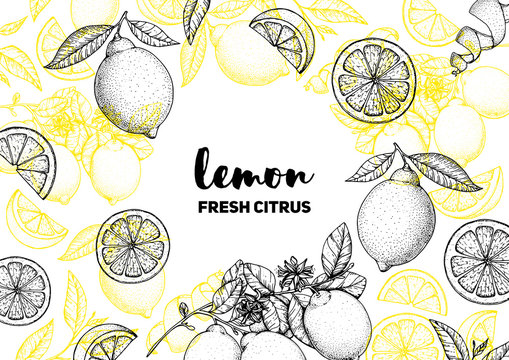 Lemon hand drawn package design. Vector illustration. Lemon sketch for menu design, brochure illustration. Black and white design. Citrus lemon pattern illustration.