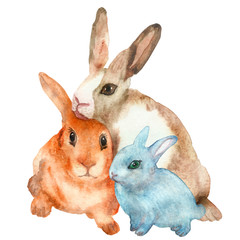 Watercolor hand painted nature wild animals composition with three blue, ginger and beige rabbits family on the white background for children and zoo design elements 