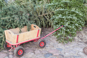 Alte Weihnachtsbäume an einer Sammelstelle mit Handwagen