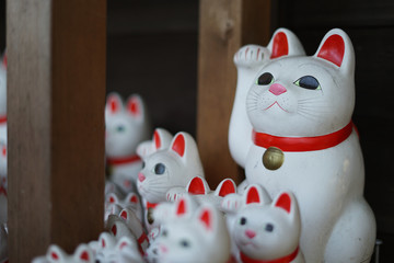 招き猫のイメージ（東京・豪徳寺）