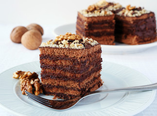 Layered chocolate cake squares with chocolate cream filling and walnut on white plate