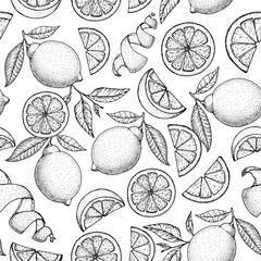 Lemon hand drawn illustration. Lemon seamless pattern. Sketch vector illustration. Can used for packaging design. Lemon citrus food.