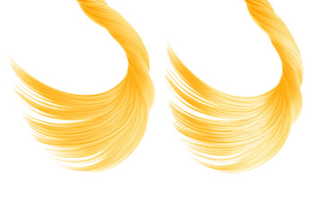Blond hair isolated on white background. Two ponytail