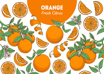 Orange fruit hand drawn package design. Orange tree frame template. Vector illustration. Menu design, brochure illustration. Colorful design. Citrus pattern illustration. Can used for packaging design