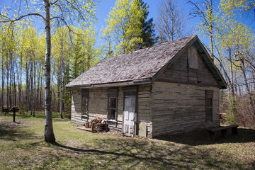 Abandoned cabin in the green forest