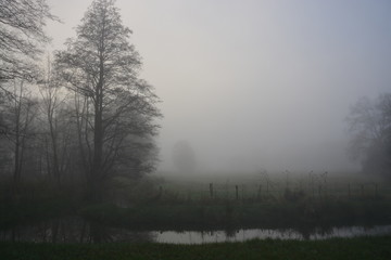 Nebel Feld 