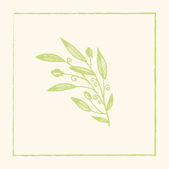 Hand drawn floral & leaves elements made in vector. For wedding design, logo & greeting card.