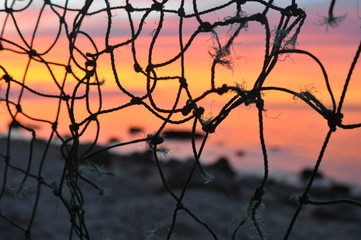 Sunset through Netting