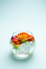 Fresh spray roses with ice cubes in vase water on white background