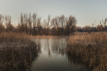 Jeziorko Powsinkowskie © Groosheck