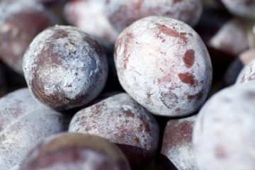 Close up shot of plums in a bowl