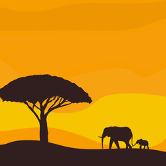 Fototapeta na wymiar Sunset in the savannah. African elephant with baby elephant. Vector illustration.