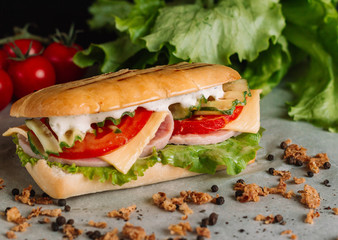Sandwich fresh pita bread beef falafel RecipeTin Eatsfilled with grilled meat, mushrooms, cheese. Traditional Middle Eastern snack. On peper background.