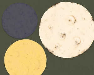 Different Types of Tortillas - Blue Corn, Yellow Corn, and Flour