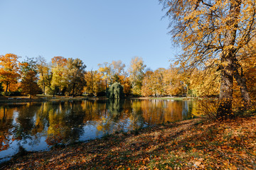 Beautiful autumn park with lake at sunny weather