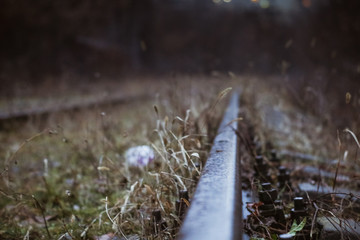 grass near the train rails 