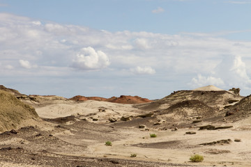 Bisti Badlands 6