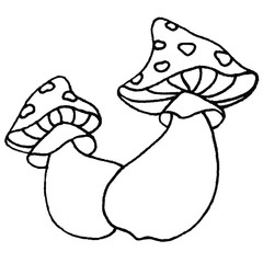 Line art illustration. Hand drawing mushrooms. Two fly agaric for a coloring book. Children's creativity. Relax for adults. Coloring page