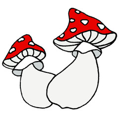 Vector illustration. Hand drawing mushrooms. Two fly agaric. Children's creativity. Illustration for children's staff, the interior of the children's room, a print for children's clothing.