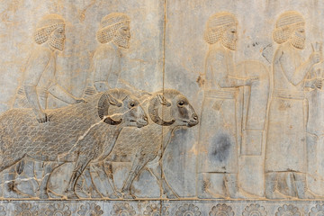 Bas reliefs in Persepolis, Iran